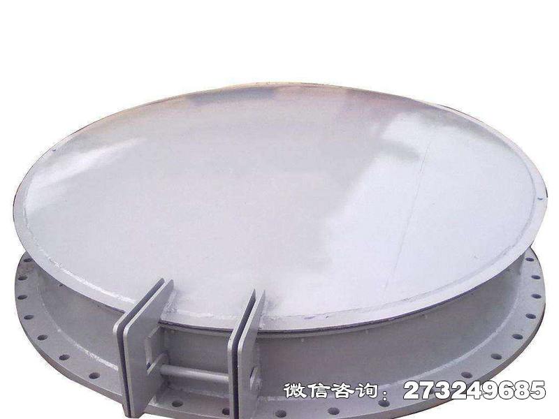 夷陵铸铁钢制拍门